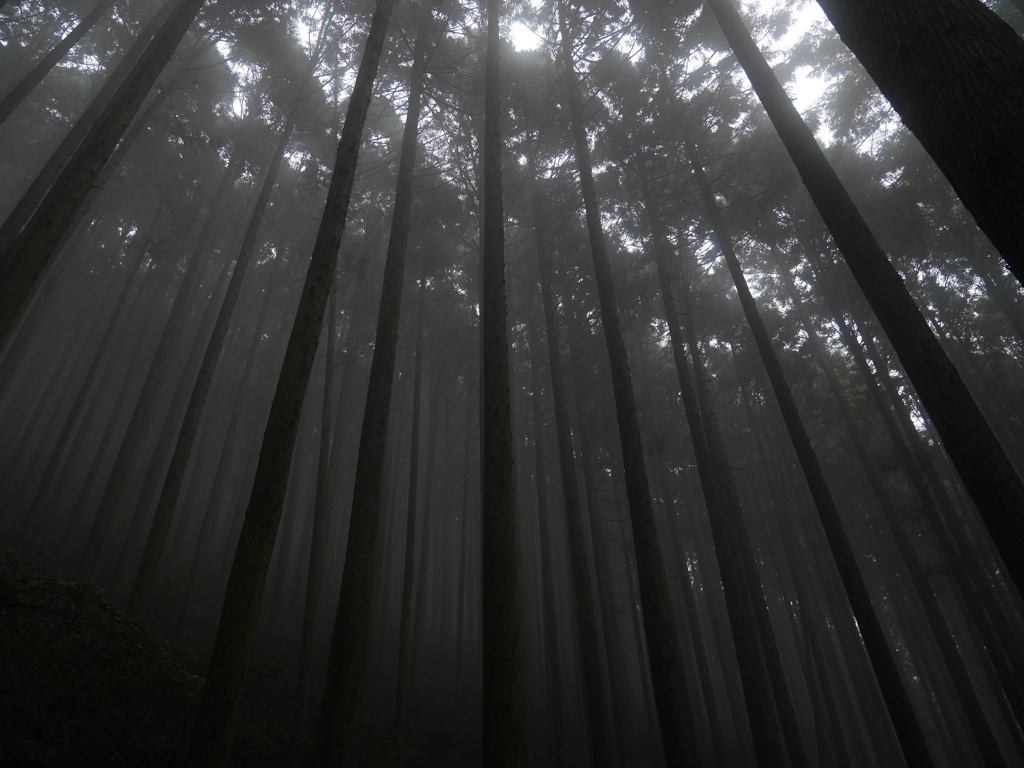 埼玉の丸山