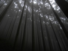 埼玉の丸山
