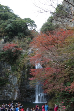 箕面の滝