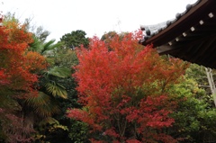 西江寺 箕面