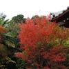 西江寺 箕面