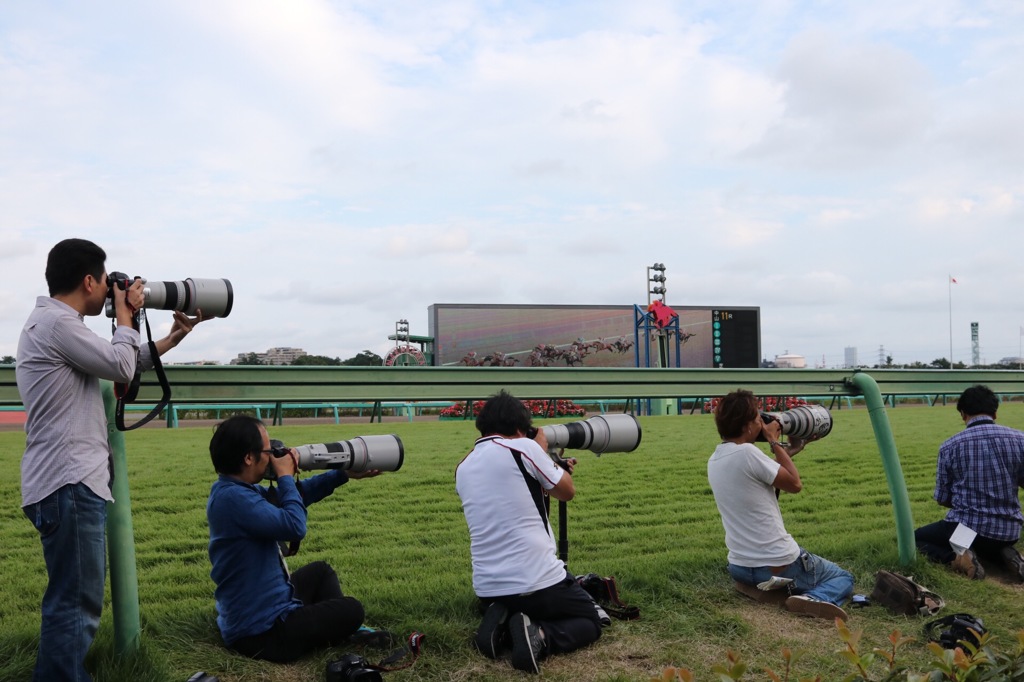 中山競馬場ゴール前