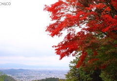 京都嵐山 高雄パークウェイからの京都の町並み