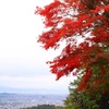 京都嵐山 高雄パークウェイからの京都の町並み