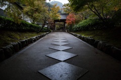 最勝院への道