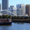 大海の蛙井の中を知る