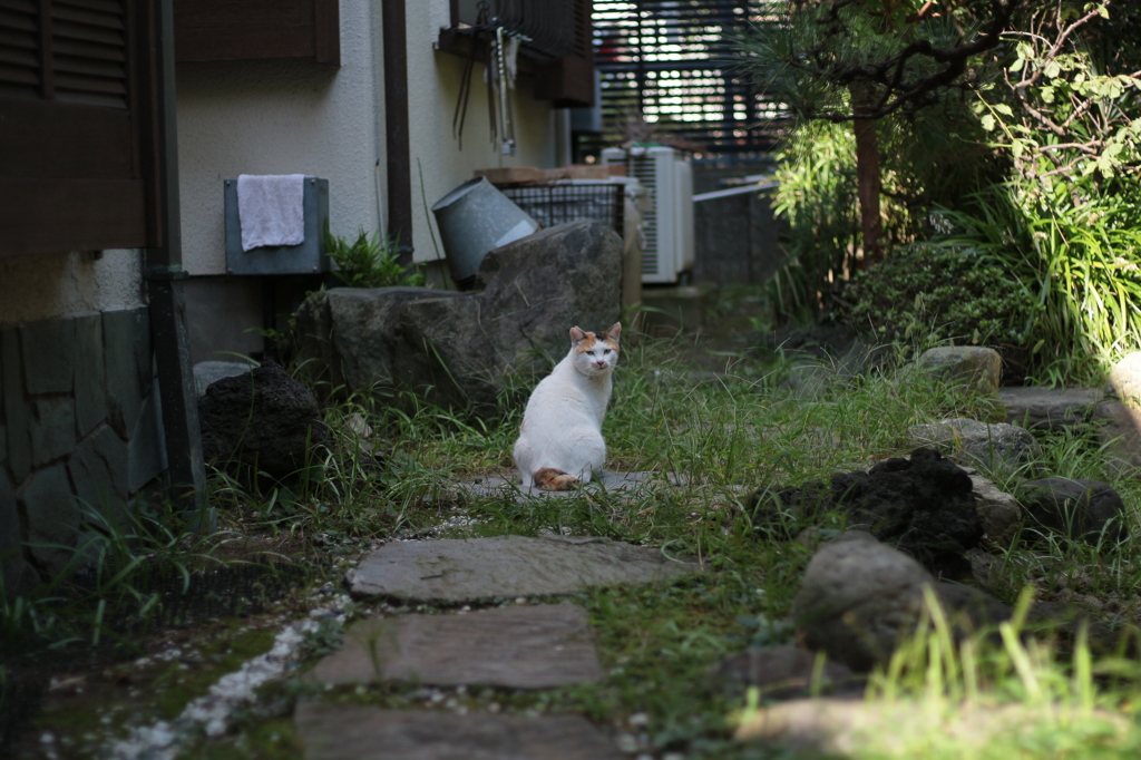 何か？