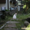 何か？