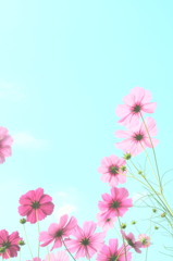 空に向かって
