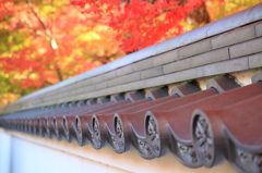 京都の秋