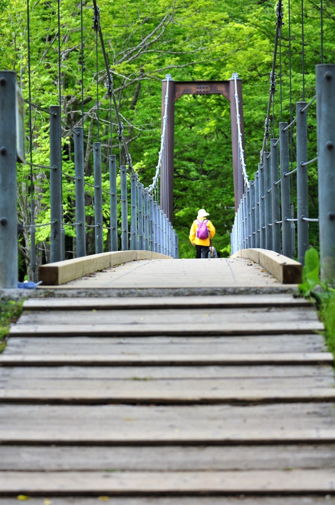 くりん草を求めて