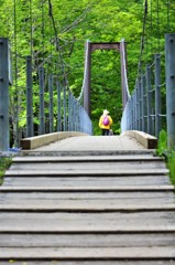くりん草を求めて
