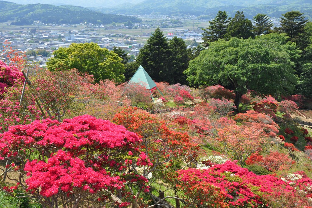 つつじ公園