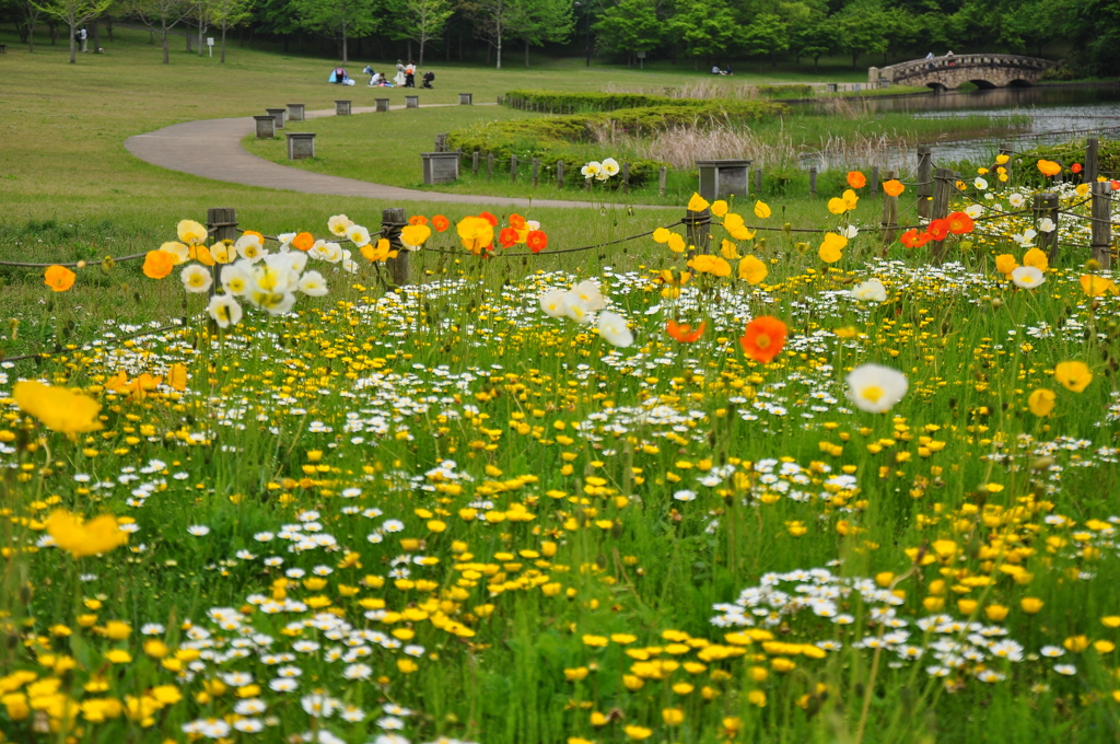 都会のオアシス