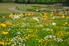 都会のオアシス