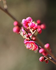 寒さに耐えて