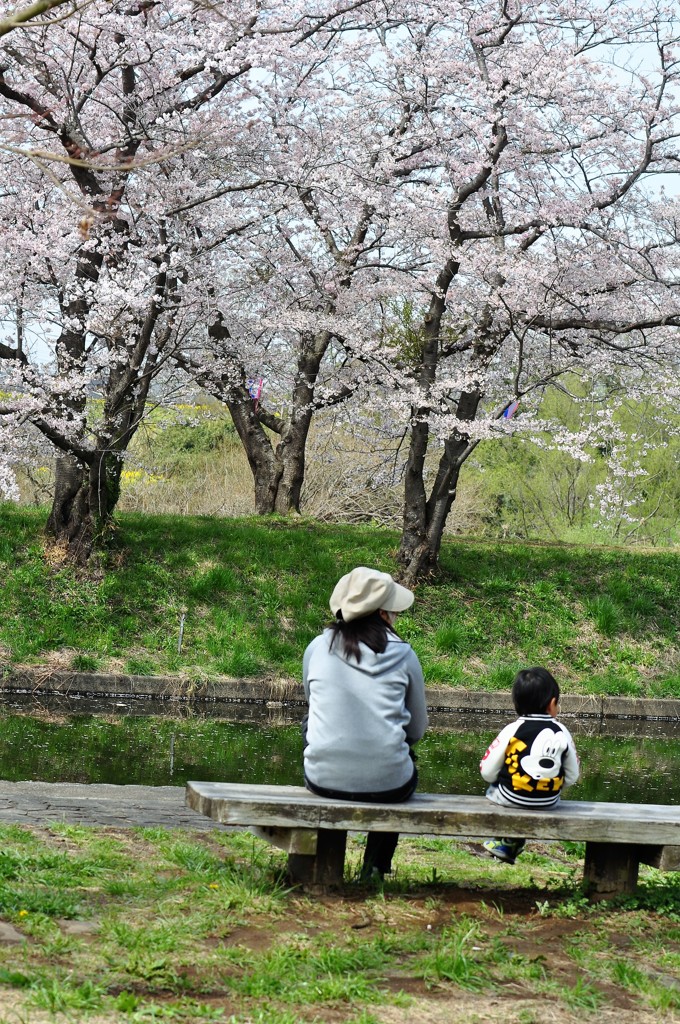 ほのぼのお花見