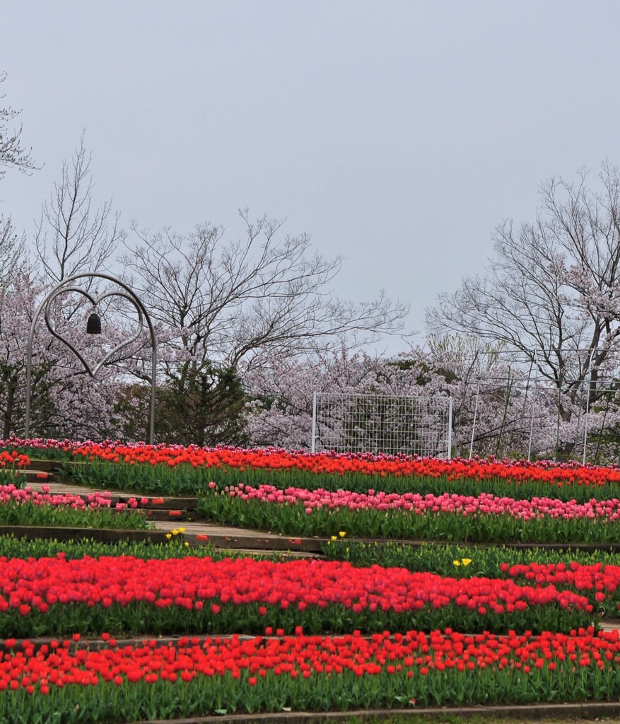 花盛り