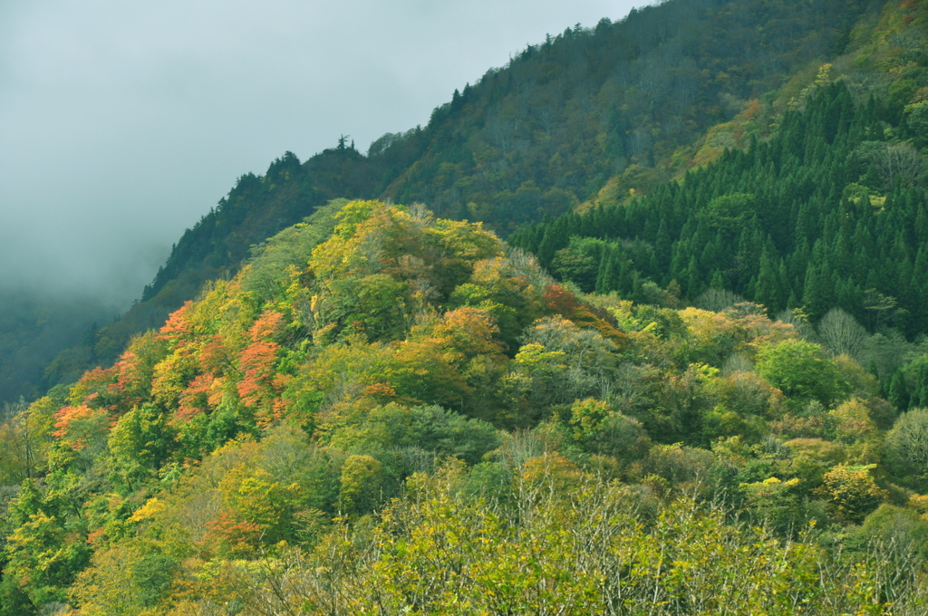 陽光差して