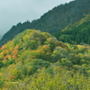 陽光差して