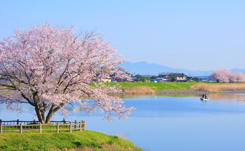 水辺の朝