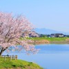 水辺の朝