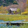湖畔の秋
