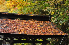 秋の山門
