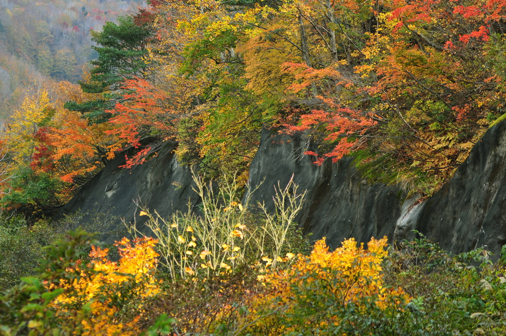山の賑わい