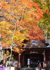 森の中のカフェ