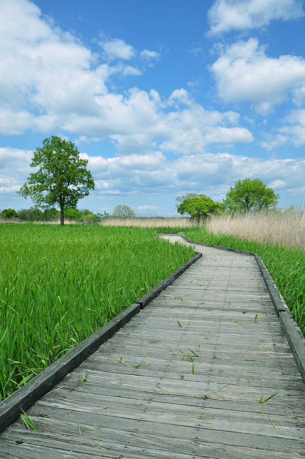 爽やかな季節に
