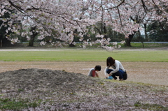 桜の木の下で