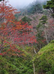 秋山に彩り