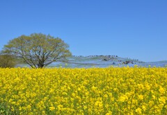 みはらしの丘