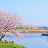 穏やかな朝