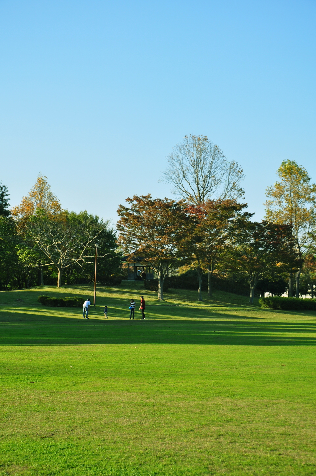 秋の公園