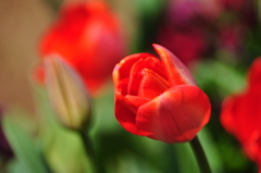 寄り添うように