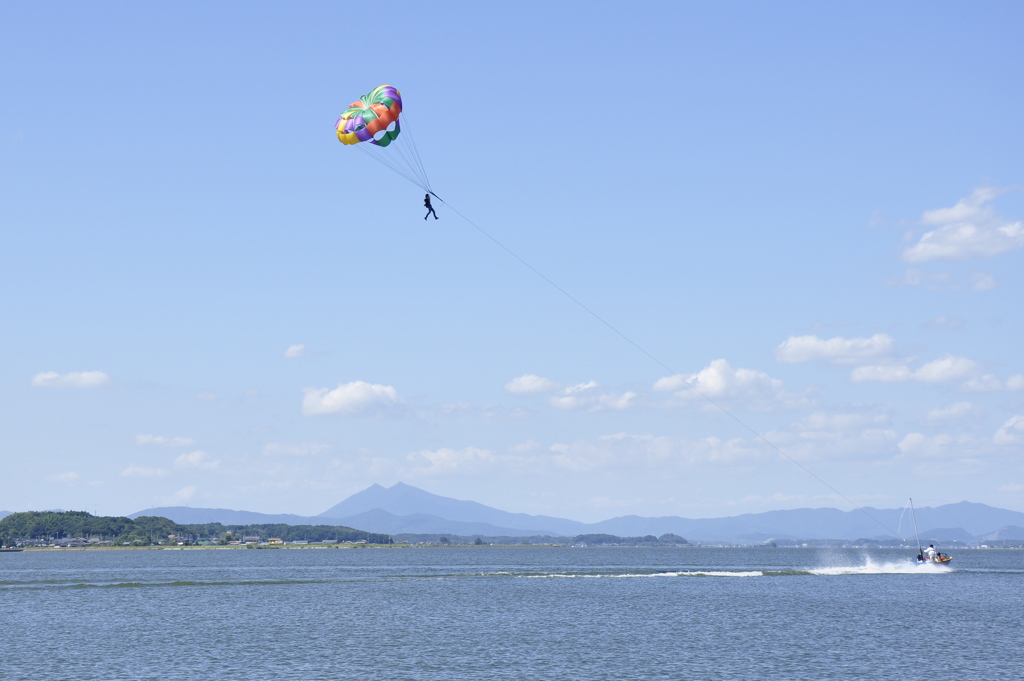 空高く