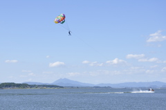 空高く