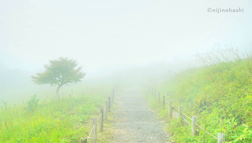 霧降高原の風景