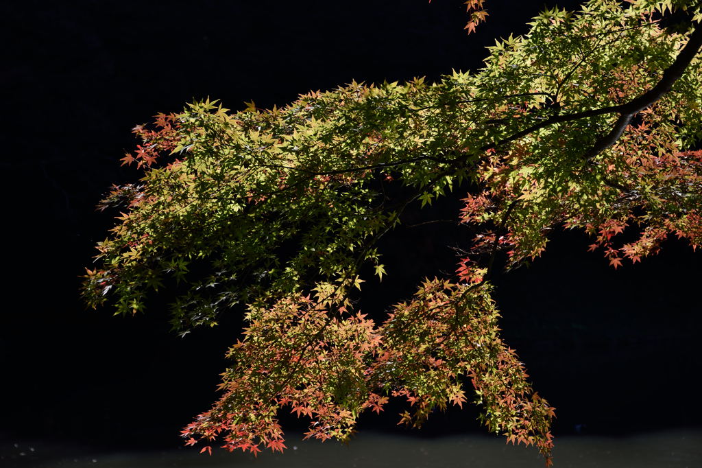 中国・四国地方