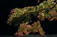 中国・四国地方