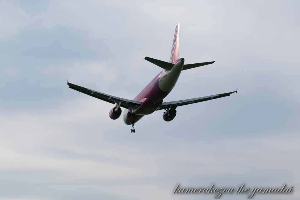 飛行機　peach