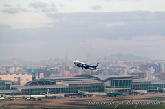 飛行機　ANA