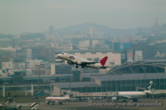 飛行機　JAL