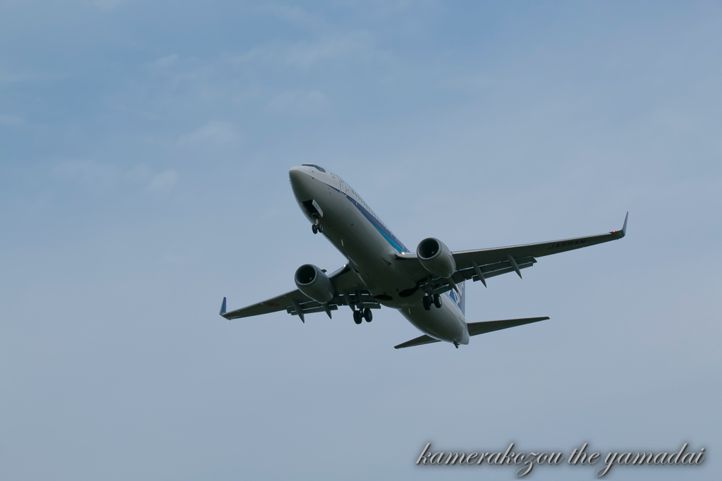 飛行機 ANA
