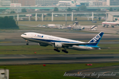 飛行機　ANA
