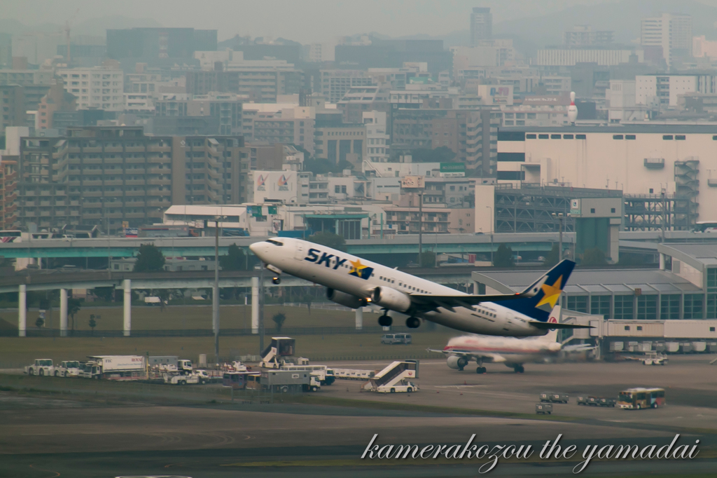 飛行機　スカイマーク