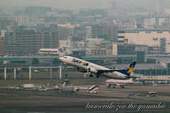 飛行機　スカイマーク