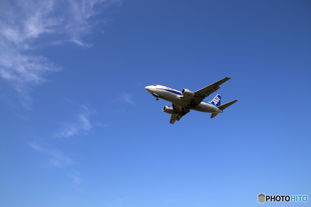 飛行機